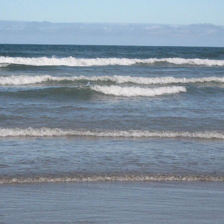 Lindo Apto 300M Praia Da Ocian E Centro - Vista Mar- Varanda Sacada - Wi-Fi 300 Mbps - Vaga De Garagem - Acomoda Ate 6 Pessoas Apartman Praia Grande  Kültér fotó